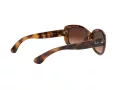 Ray-Ban Jackie Ohh Solglasögon RB 4101 642/A5
