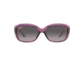 Ray-Ban Jackie Ohh Solglasögon RB 4101 6591/M3