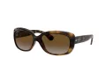 Ray-Ban Jackie Ohh Solglasögon RB 4101 710/T5