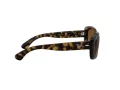 Ray-Ban Jackie Ohh Solglasögon RB 4101 710/T5