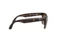 Ray-Ban Folding Wayfarer Solglasögon RB 4105 710/51