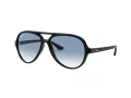 Ray-Ban Cats 5000 Solglasögon RB 4125 601/3F