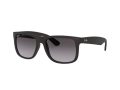 Ray-Ban Justin Solglasögon RB 4165 601/8G