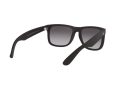 Ray-Ban Justin Solglasögon RB 4165 601/8G