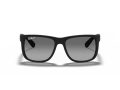 Ray-Ban Justin Solglasögon RB 4165 622/T3