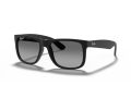 Ray-Ban Justin Solglasögon RB 4165 622/T3