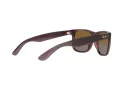 Ray-Ban Justin Solglasögon RB 4165 6597T5
