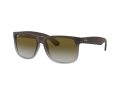 Ray-Ban Justin Solglasögon RB 4165 854/7Z