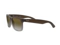 Ray-Ban Justin Solglasögon RB 4165 854/7Z