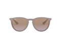 Ray-Ban Erika Solglasögon RB 4171 6000/68