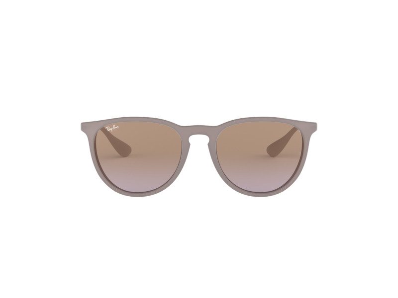 Ray-Ban Erika Solglasögon RB 4171 6000/68