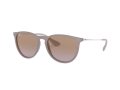 Ray-Ban Erika Solglasögon RB 4171 6000/68