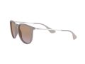 Ray-Ban Erika Solglasögon RB 4171 6000/68
