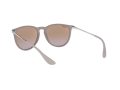 Ray-Ban Erika Solglasögon RB 4171 6000/68