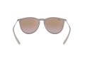 Ray-Ban Erika Solglasögon RB 4171 6000/68