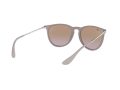 Ray-Ban Erika Solglasögon RB 4171 6000/68