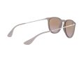 Ray-Ban Erika Solglasögon RB 4171 6000/68