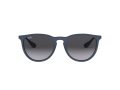 Ray-Ban Erika Solglasögon RB 4171 6002/8G