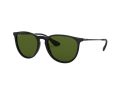 Ray-Ban Erika Solglasögon RB 4171 601/2P