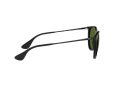 Ray-Ban Erika Solglasögon RB 4171 601/2P