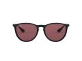 Ray-Ban Erika Solglasögon RB 4171 601/5Q