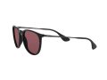 Ray-Ban Erika Solglasögon RB 4171 601/5Q