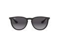 Ray-Ban Erika Solglasögon RB 4171 622/8G