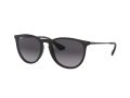 Ray-Ban Erika Solglasögon RB 4171 622/8G