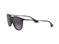 Ray-Ban Erika Solglasögon RB 4171 622/8G
