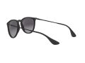 Ray-Ban Erika Solglasögon RB 4171 622/8G