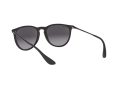 Ray-Ban Erika Solglasögon RB 4171 622/8G