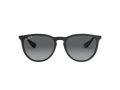 Ray-Ban Erika Solglasögon RB 4171 622/T3