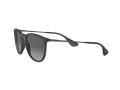 Ray-Ban Erika Solglasögon RB 4171 622/T3