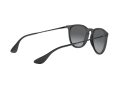 Ray-Ban Erika Solglasögon RB 4171 622/T3