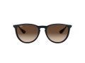Ray-Ban Erika Solglasögon RB 4171 6315/13