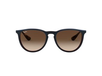Ray-Ban Erika Solglasögon RB 4171 6315/13