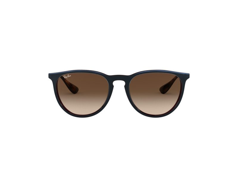 Ray-Ban Erika Solglasögon RB 4171 6315/13