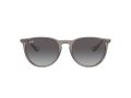 Ray-Ban Erika Solglasögon RB 4171 6513/8G