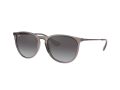 Ray-Ban Erika Solglasögon RB 4171 6513/8G