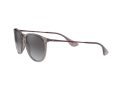 Ray-Ban Erika Solglasögon RB 4171 6513/8G