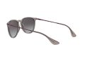 Ray-Ban Erika Solglasögon RB 4171 6513/8G