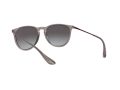 Ray-Ban Erika Solglasögon RB 4171 6513/8G