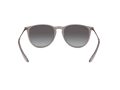 Ray-Ban Erika Solglasögon RB 4171 6513/8G