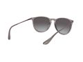 Ray-Ban Erika Solglasögon RB 4171 6513/8G
