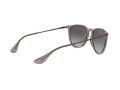 Ray-Ban Erika Solglasögon RB 4171 6513/8G