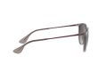 Ray-Ban Erika Solglasögon RB 4171 6513/8G