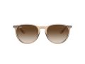 Ray-Ban Erika Solglasögon RB 4171 6514/13