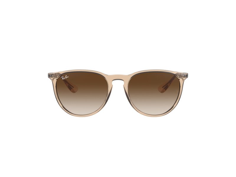 Ray-Ban Erika Solglasögon RB 4171 6514/13