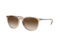 Ray-Ban Erika Solglasögon RB 4171 6514/13