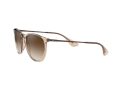 Ray-Ban Erika Solglasögon RB 4171 6514/13